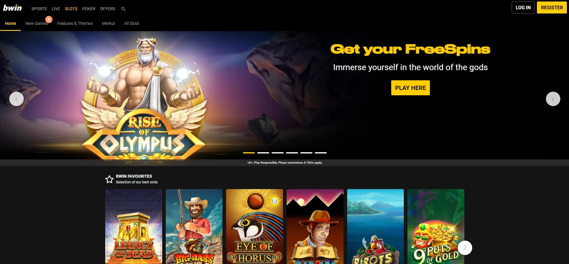 Bwin Casino Website Interface.